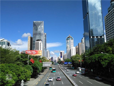 发现杨浦区的独特品茶之旅